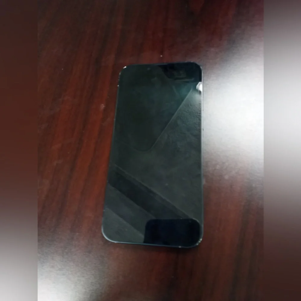 Blue Apple iPhone 13